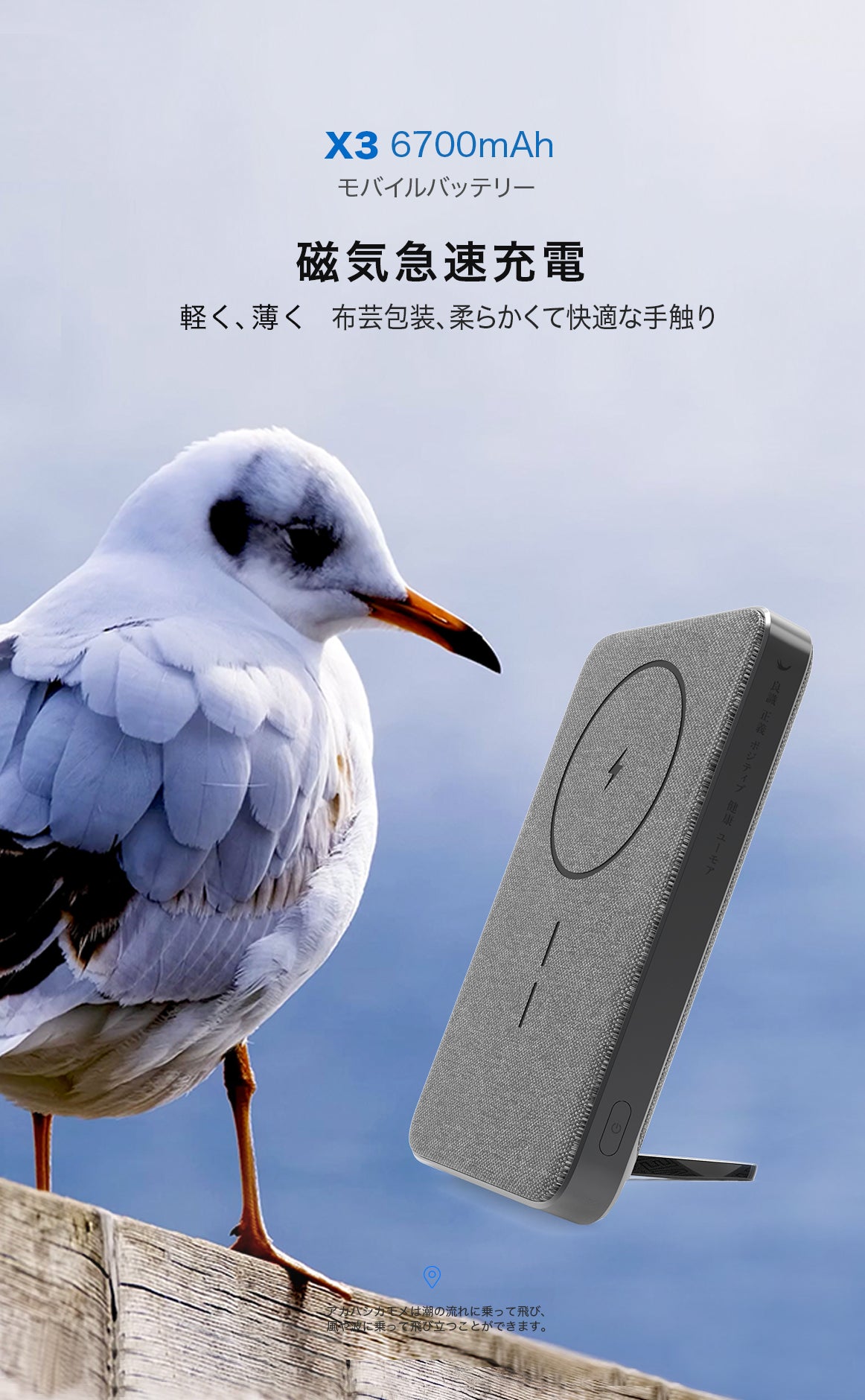 POWER電器株式会社 – POWER電器｜BraveBird, Artisan's Touch